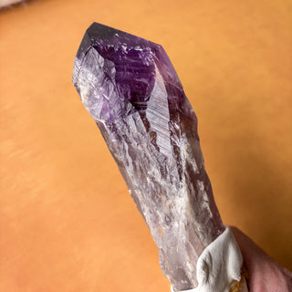 XL Dragon's Tooth Amethyst Raw Root Crystal Point Gemstone "A" - Copia Cove