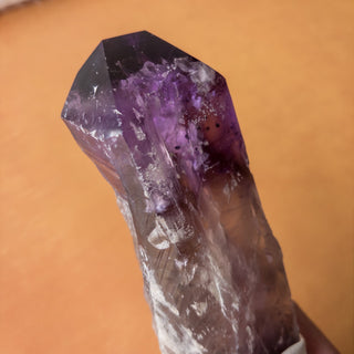 XL Dragon's Tooth Amethyst Raw Root Crystal Point Gemstone "A" - Copia Cove