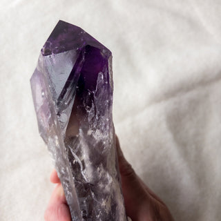 XL Dragon's Tooth Amethyst Raw Root Crystal Point Gemstone "A" - Copia Cove