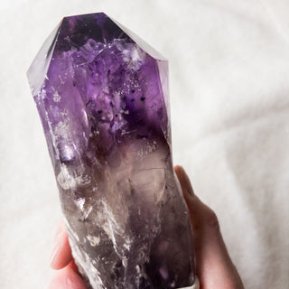 XL Dragon's Tooth Amethyst Raw Root Crystal Point Gemstone "A" - Copia Cove