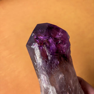 XL Dragon's Tooth Amethyst Raw Root Crystal Point Gemstone "A" - Copia Cove