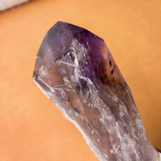 XL Dragon's Tooth Amethyst Raw Root Crystal Point Gemstone "A" - Copia Cove