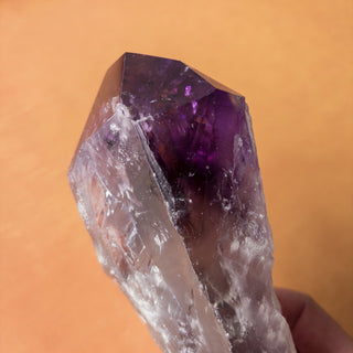 XL Dragon's Tooth Amethyst Raw Root Crystal Point Gemstone "A" - Copia Cove