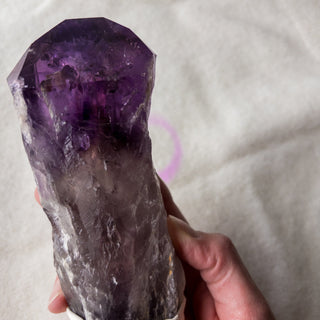 XL Dragon's Tooth Amethyst Raw Root Crystal Point Gemstone "A" - Copia Cove