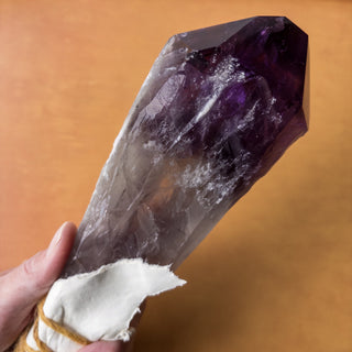 XL Dragon's Tooth Amethyst Raw Root Crystal Point Gemstone "C" - Copia Cove