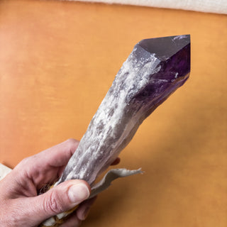 XL Dragon's Tooth Amethyst Raw Root Crystal Point Gemstone "C" - Copia Cove