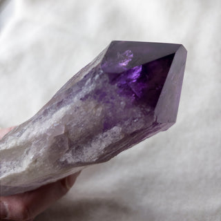 XL Dragon's Tooth Amethyst Raw Root Crystal Point Gemstone "C" - Copia Cove