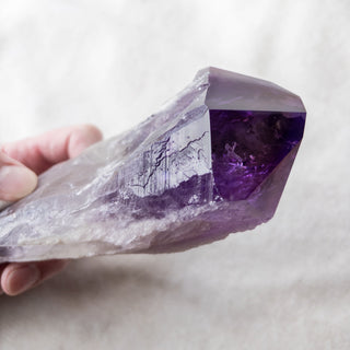 XL Dragon's Tooth Amethyst Raw Root Crystal Point Gemstone "C" - Copia Cove