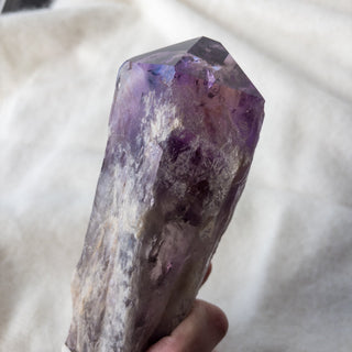 XL Dragon's Tooth Amethyst Raw Root Crystal Point Gemstone "F" - Copia Cove