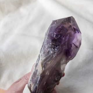 XL Dragon's Tooth Amethyst Raw Root Crystal Point Gemstone "F" - Copia Cove