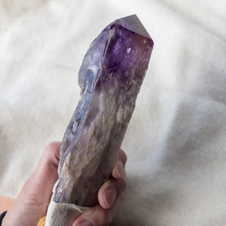 XL Dragon's Tooth Amethyst Raw Root Crystal Point Gemstone "F" - Copia Cove