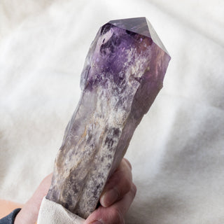 XL Dragon's Tooth Amethyst Raw Root Crystal Point Gemstone "F" - Copia Cove