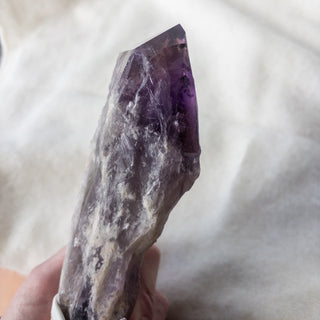 XL Dragon's Tooth Amethyst Raw Root Crystal Point Gemstone "F" - Copia Cove