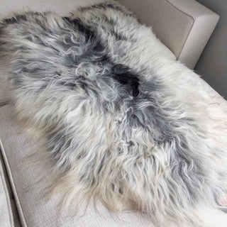 XL Premium Icelandic Sheepskin Rug Extra - Natural Gray Long Wool - Copia Cove