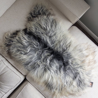 XL Premium Icelandic Sheepskin Rug Extra - Natural Gray Long Wool - Copia Cove