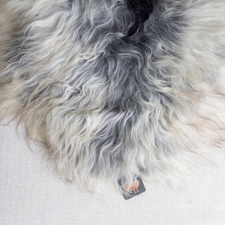 XL Premium Icelandic Sheepskin Rug Extra - Natural Gray Long Wool - Copia Cove