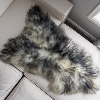 XXL Premium Icelandic Sheepskin Rug Extra - White with Dyed Black Tips Long Wool "A" - Copia Cove