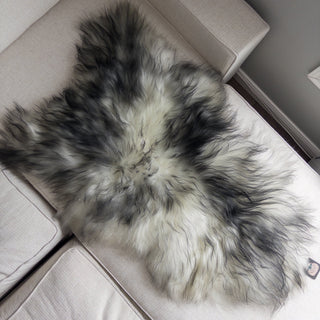 XXL Premium Icelandic Sheepskin Rug Extra - White with Dyed Black Tips Long Wool "B" - Copia Cove