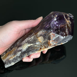 XL Dragon's Tooth Amethyst Crystal Point Gemstone "A" - Copia Cove