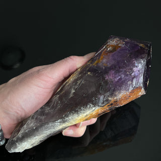 XL Dragon's Tooth Amethyst Crystal Point Gemstone "B" - Copia Cove